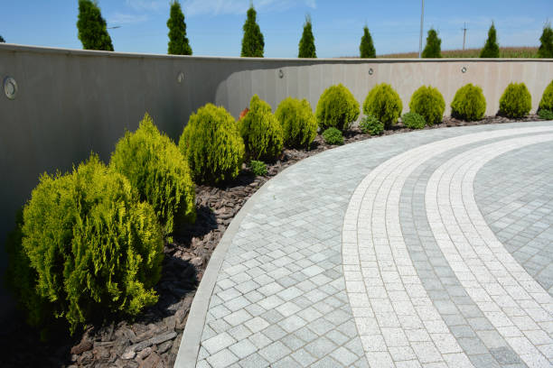 Best Best Driveway Pavers  in Mabscott, WV